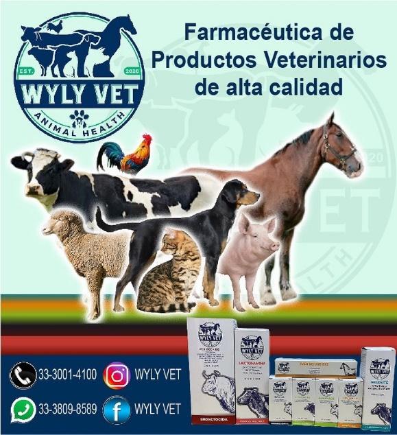 Uso Y Beneficio De Las Vitaminas Del Complejo B En Animales – AGRO RURAL