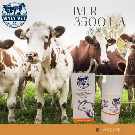 Uso Y Beneficio De Las Vitaminas Del Complejo B En Animales – AGRO RURAL