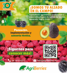 ANUNCIO AGRIBERRIES NEOVAL_768x839